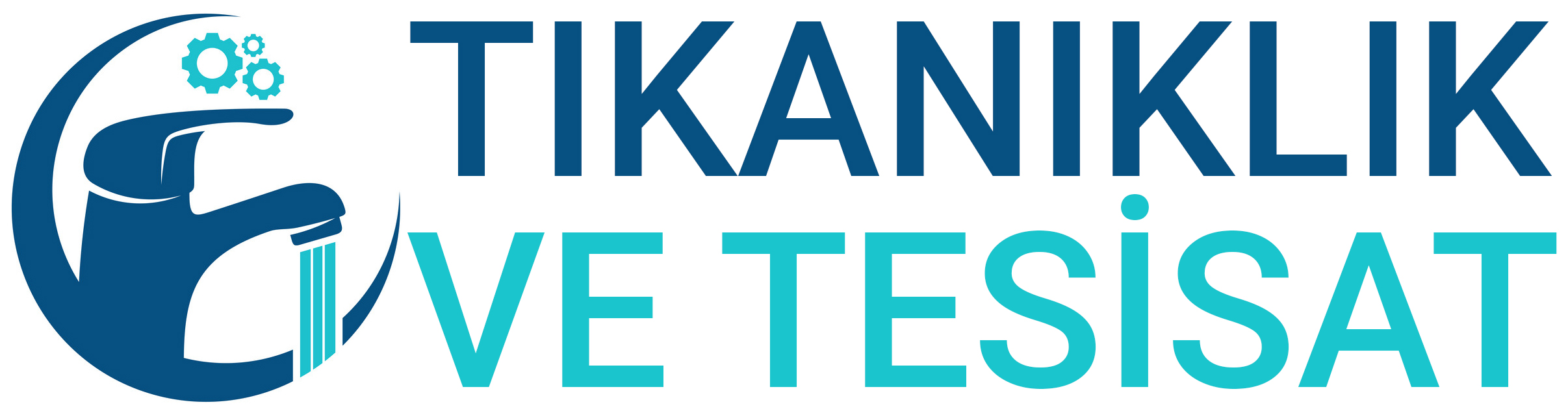 Tıkanıklık ve Tesisat